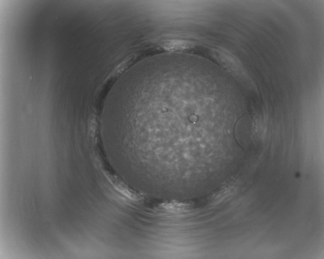 X0000071330367200606301607