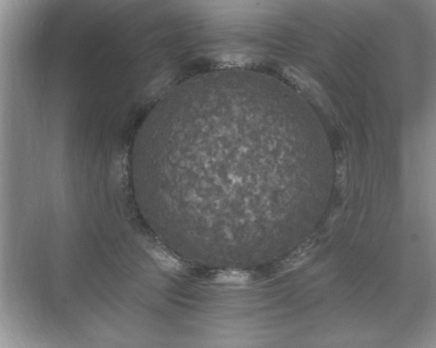 X0000071330369200606301607