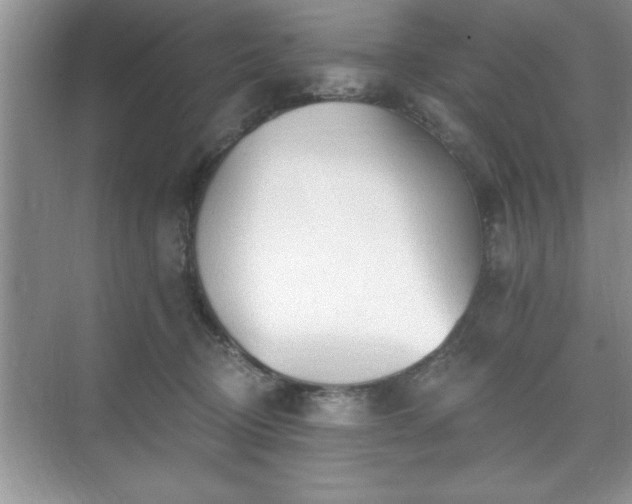 X0000071330370200606301607