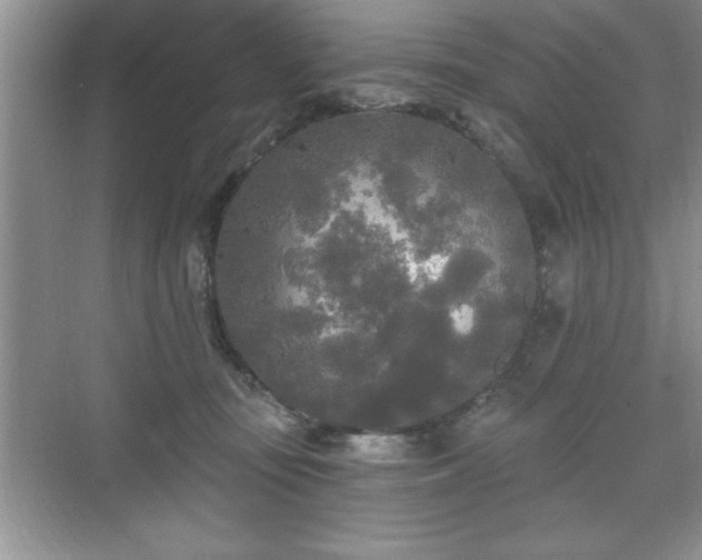 X0000071330371200606301607