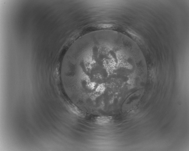 X0000071330373200606301607