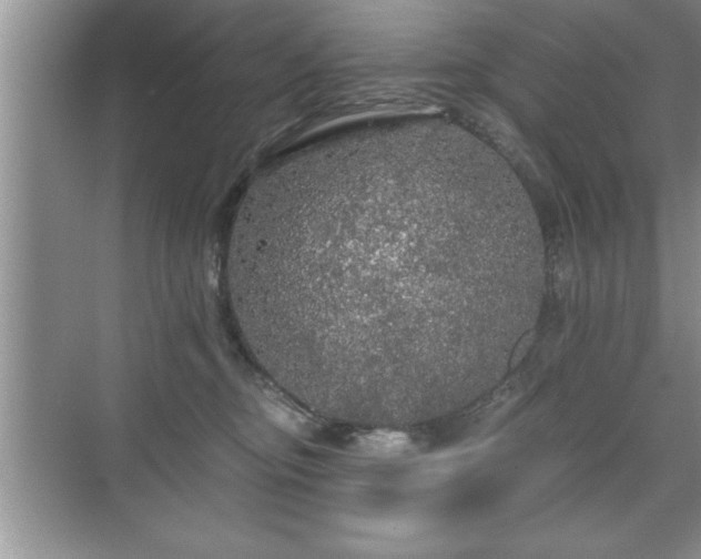 X0000071330374200606301607