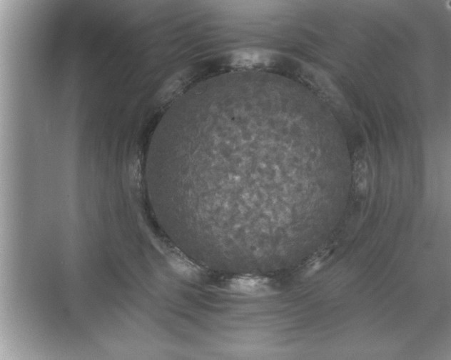 X0000071330375200606301607