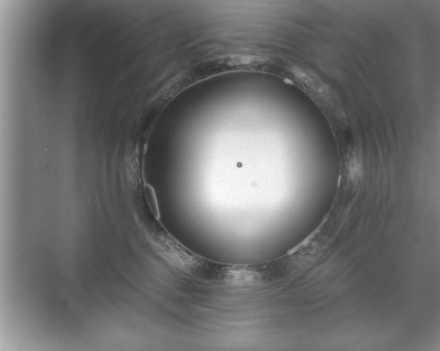 X0000071330376200606301607