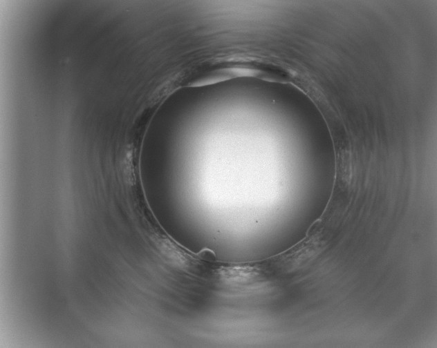 X0000071330378200606301607