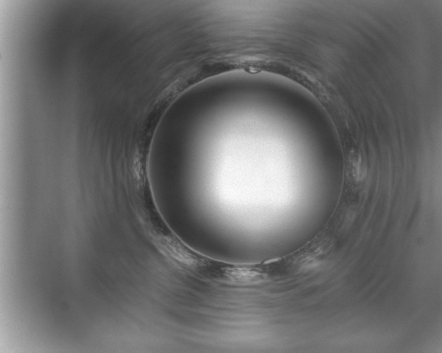 X0000071330380200606301607