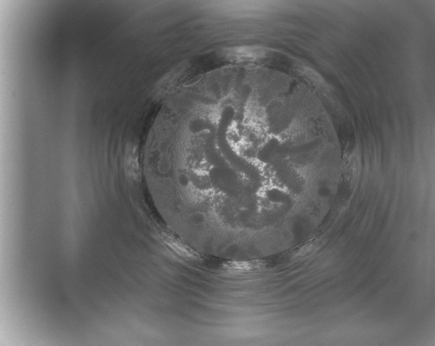 X0000071330381200606301607