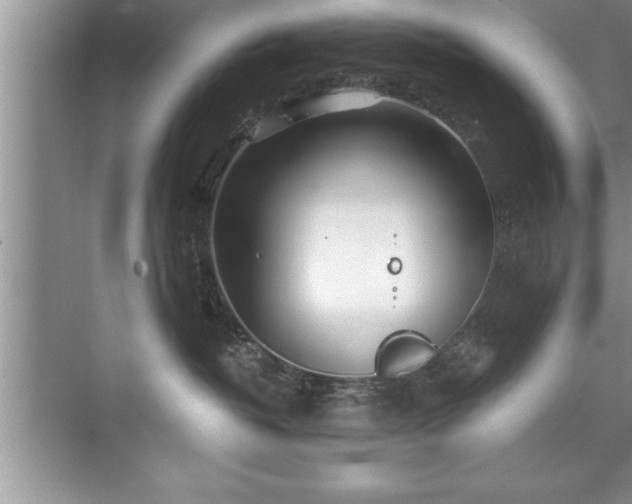 X0000071330382200606301607