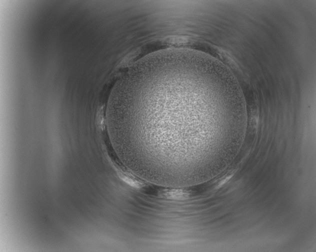 X0000071330383200606301607