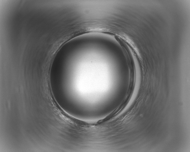 X0000071330385200606301606