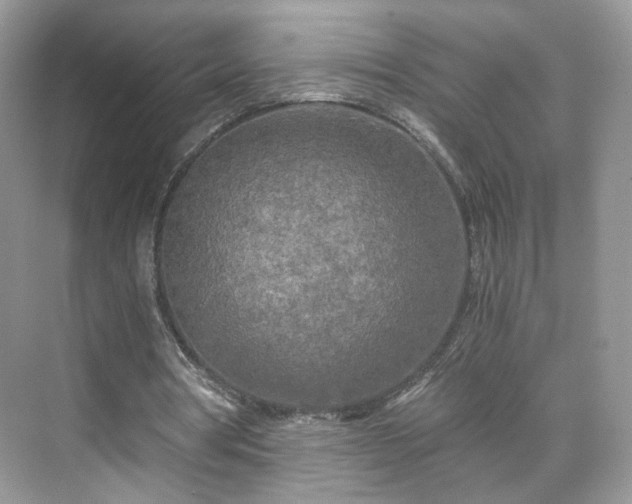 X0000071330386200606301606