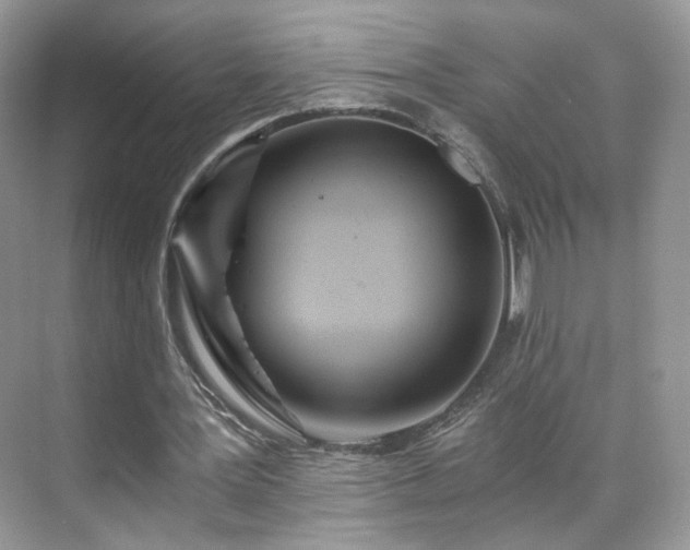 X0000071330387200606301606