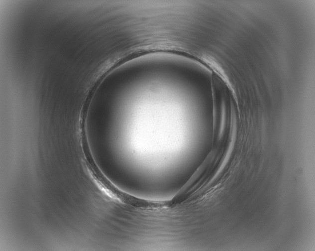 X0000071330389200606301606