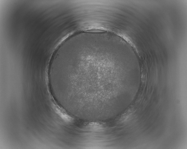 X0000071330390200606301606