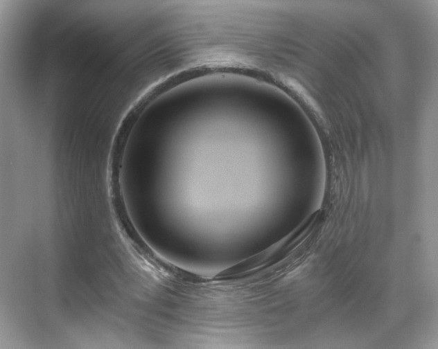 X0000071330391200606301606