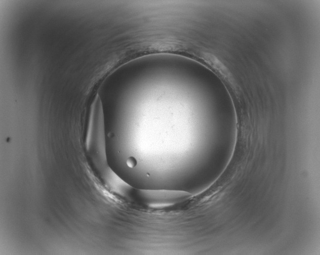 X0000071330393200606301606