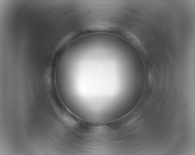 X0000071330396200606301606