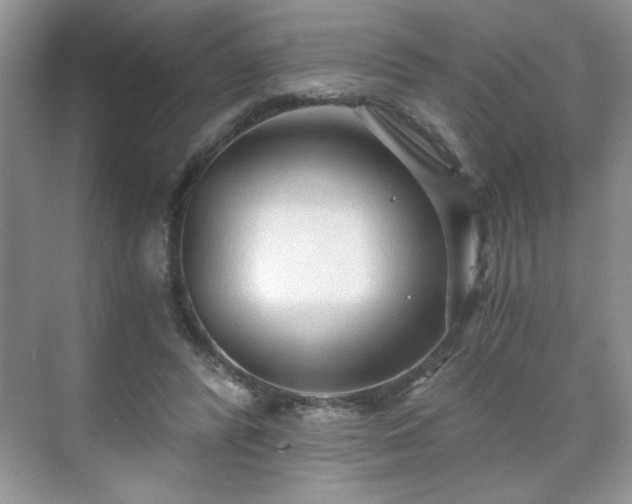 X0000071330400200606301606