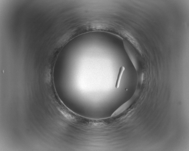 X0000071330401200606301606