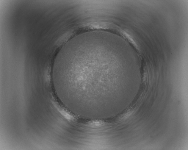 X0000071330402200606301606