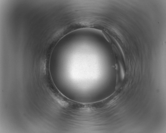 X0000071330404200606301606