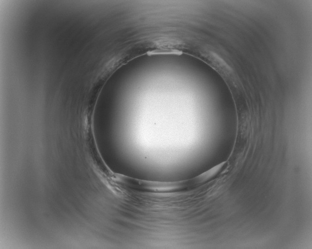 X0000071330405200606301606