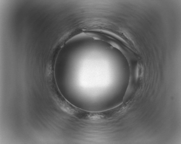 X0000071330407200606301606