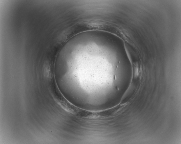 X0000071330408200606301606