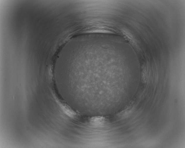 X0000071330410200606301606