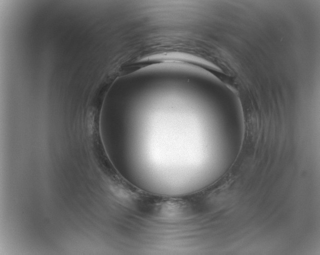 X0000071330412200606301606