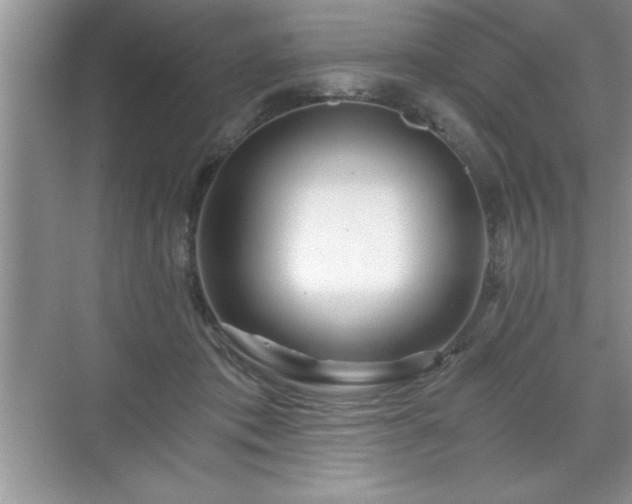 X0000071330413200606301606