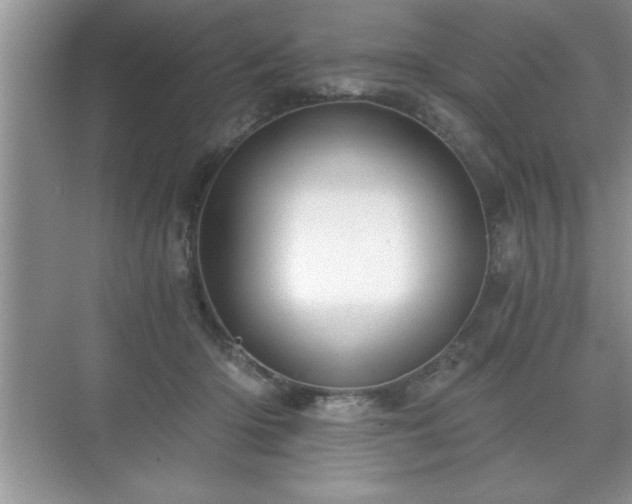 X0000071330414200606301606