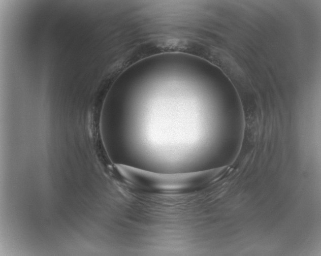 X0000071330416200606301605