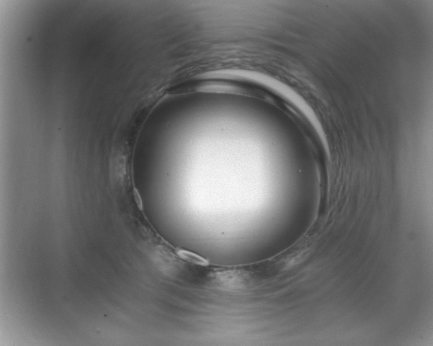 X0000071330417200606301605