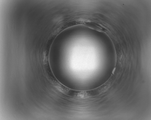 X0000071330420200606301605