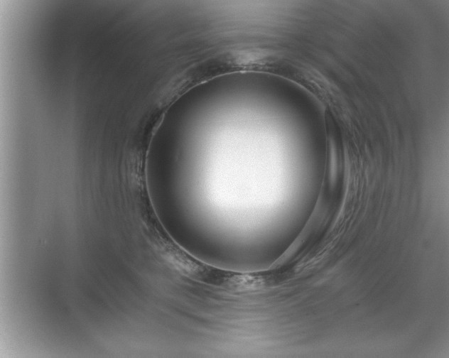 X0000071330421200606301605