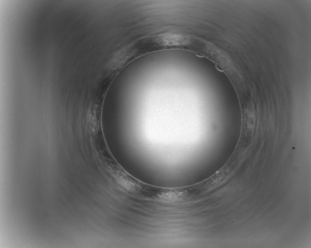 X0000071330422200606301605