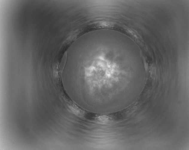 X0000071330423200606301605