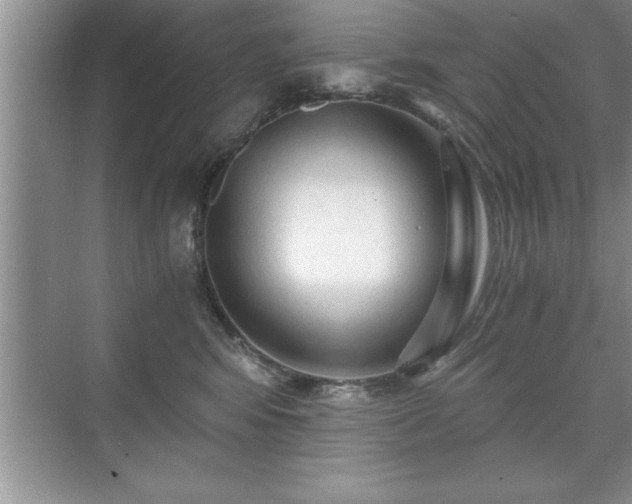 X0000071330424200606301605