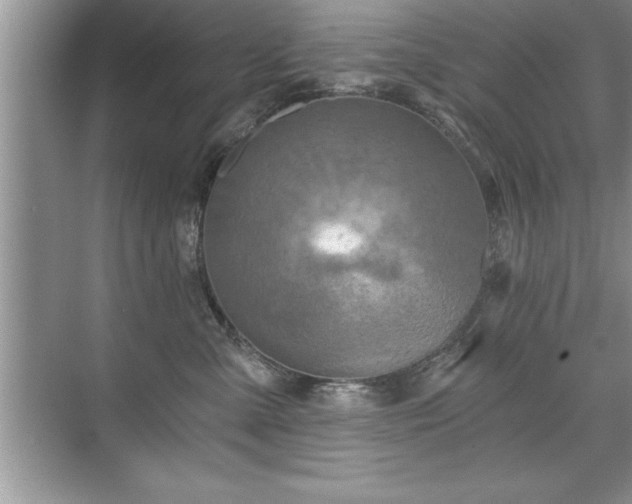 X0000071330427200606301605