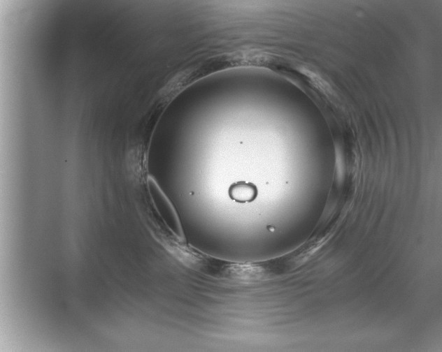 X0000071330429200606301605