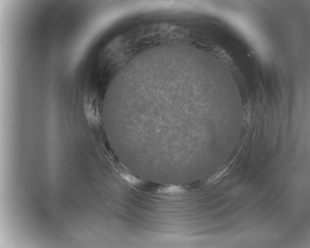 X0000071330431200606301605