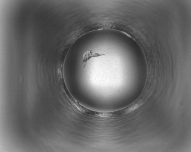 X0000071330432200606301605