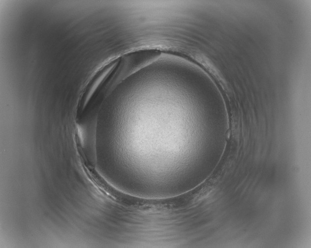 X0000071330434200606301604