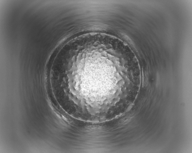 X0000071330435200606301604