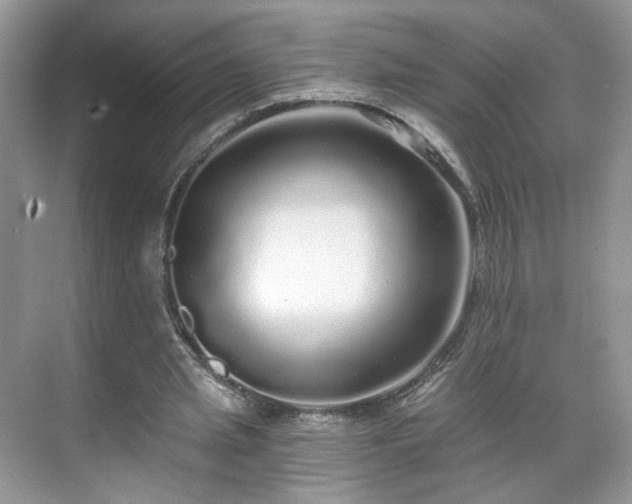 X0000071330437200606301604