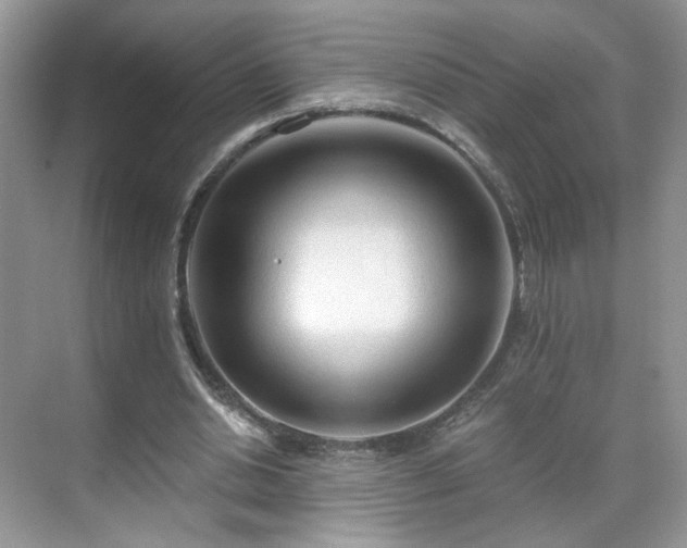 X0000071330438200606301605