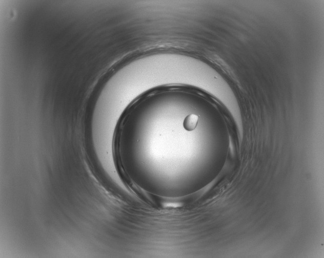 X0000071330444200606301605