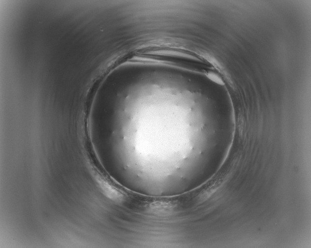 X0000071330445200606301605