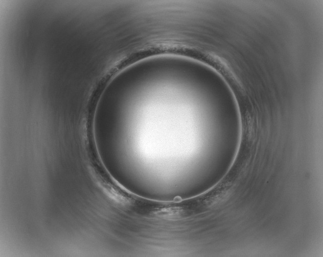 X0000071330447200606301605